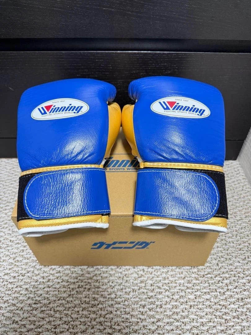 Winning 8 oz. Weight Boxing Gloves for sale | eBay