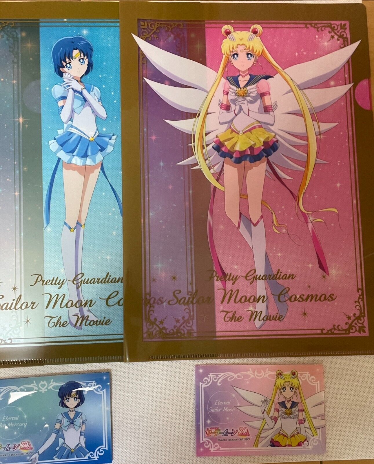 Sailor Moon A5 Clear Pocket - Cosmos - Moon