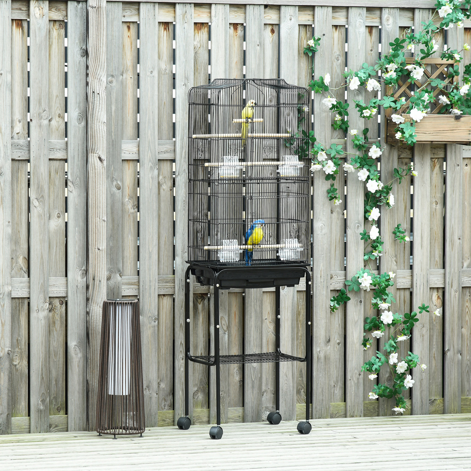 Image showcasing Best Cheap Bird Cages for Cockatiels: Affordable Picks That Prioritize ...