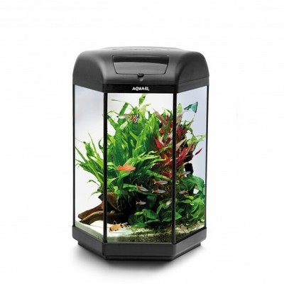 60 litre fish tank