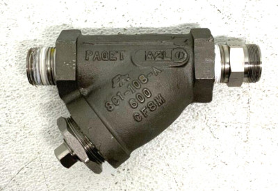 Paget SC1-108-A 1'' Stainless Steel Threaded Y Strainer CF8M Class 600 243F