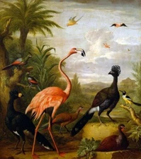 Handpainted Oil painting Flamingo parrot forest Birds in a Landscape