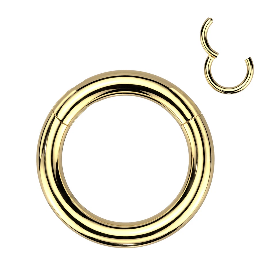 Large Gauge Implant Grade Titanium Hinged Hoop Segment Ring Septum - Image 4 of 4
