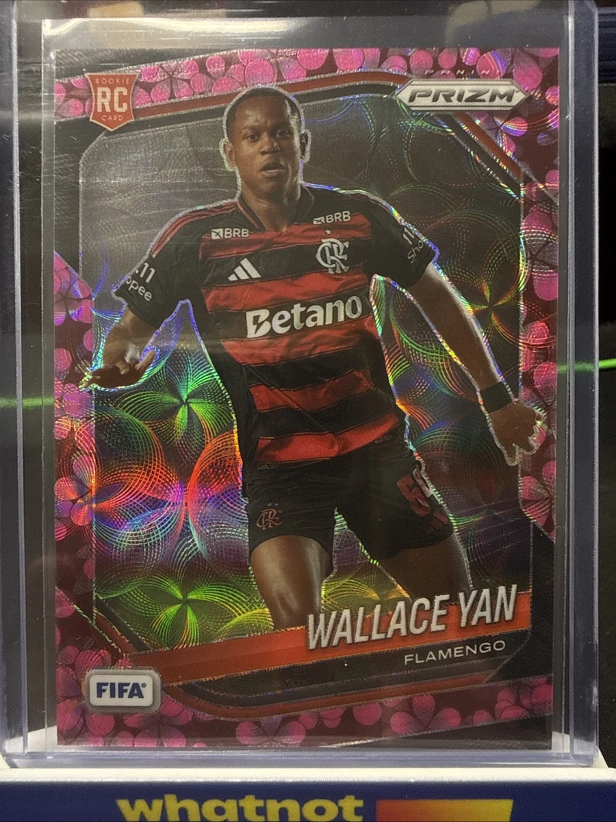 Panini FIFA World Cup Soccer Insert Sports Trading Cards