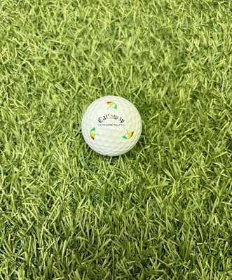  Super Rare Arnold Palmer Bay hill Golf Course Logo Multiple umbrellas logo 