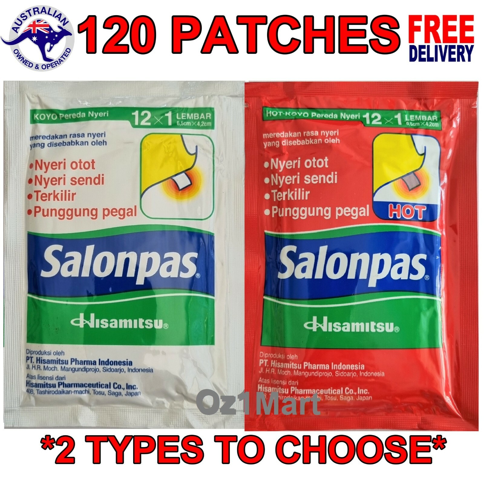 SALONPAS PAIN RELIEF MUSCLE PAIN RELIEVING PATCH 120 PATCHES eBay