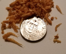 Freeze Dried Krill Pacifica Shrimp, 0.25" to 0.5" - Everything Aquatic