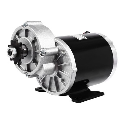 48V 600W Reduction Motor Reduction Electric Motor For Electric Bikes & Scooters