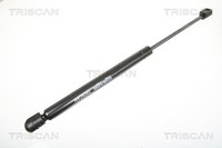 Heckklappen DäMpfer Gasfeder Kofferraum Triscan 8710 29282 FüR Audi A8 D3 4E2