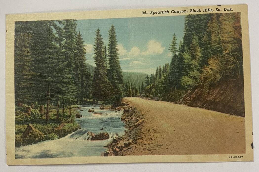 Vintage Postcard ~ Spearfish Canyon Dirt Road View ~ Black Hills South Dakota SD