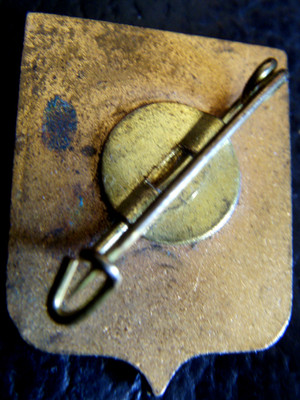 Insigne Ancien émaillé - Blason Héraldique De Lisieux - En Laiton Et émail - Type Broche - Occasion