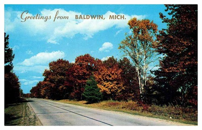#ad Postcard HIGHWAY SCENE Baldwin Michigan MI m 09 AT3011 $2.29