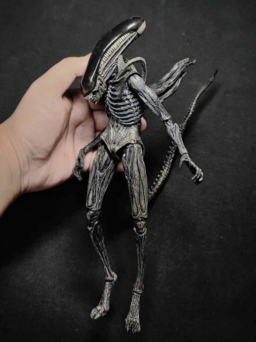 NECA ウォーリアー エイリアン(AVP ver) (新品未開封) NECA Aliens Warrior Alien vs Predator AVP Black 7