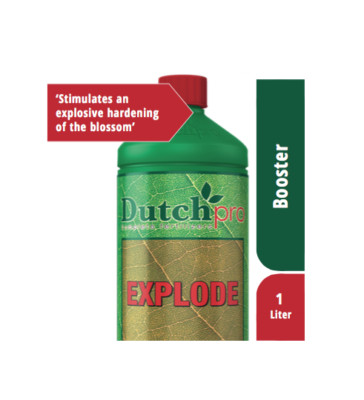 Dutch Pro Explode Blüteverstärker 250 ml, 1 L