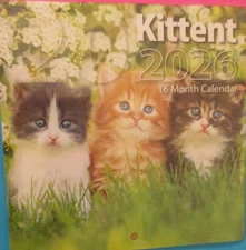 2026 WALL Small  MINI 6X6" CALENDAR - KITTENs CAT Flowers 6X12" Open USA
