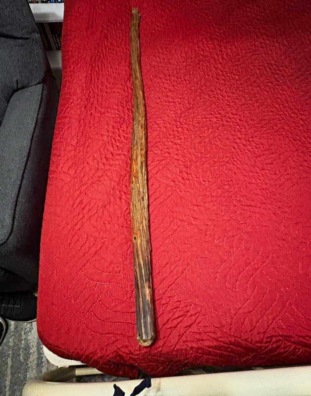A walking staff I made out of oak I think