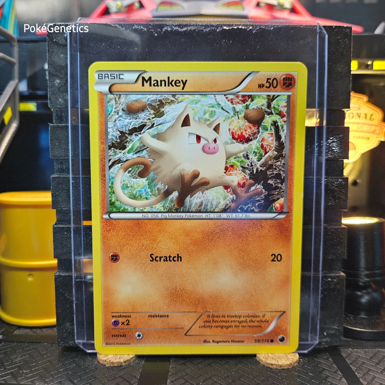 Mankey Plasma Freeze Pokémon TCG 59/116 Black & White 9 Common
