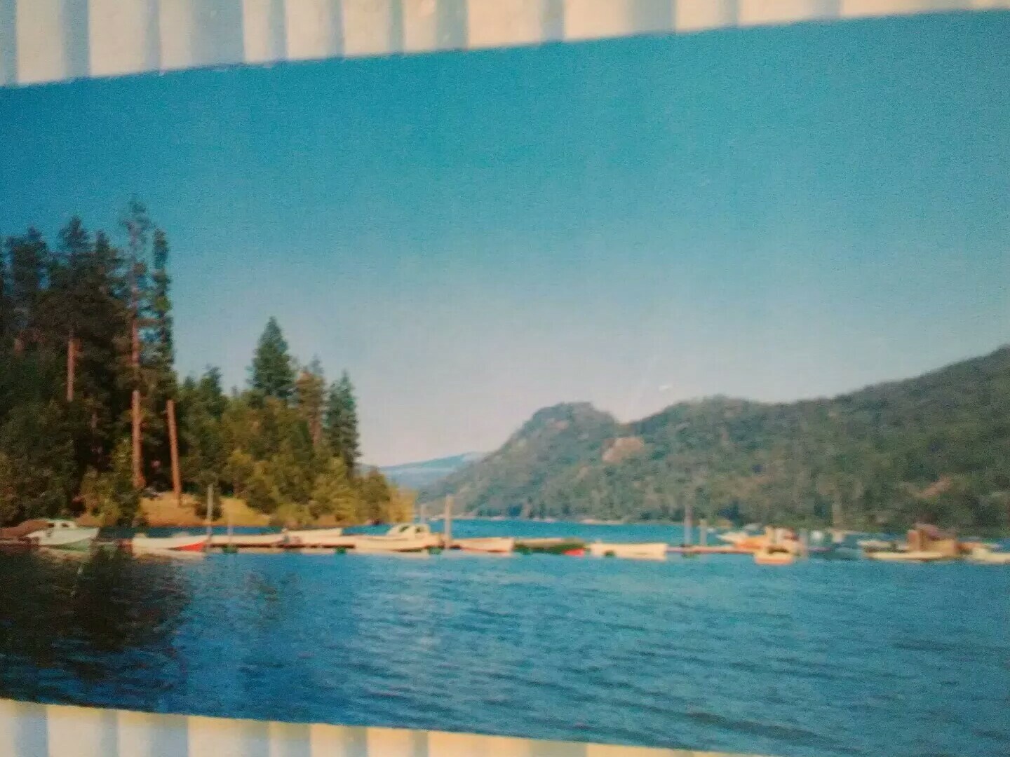 Picture 3 of 12