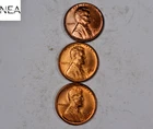 1950-D+1952-D+1954-S Lincoln Wheat Penny Cent Lot/Set ~ Gem BU Red ~ ZWL17