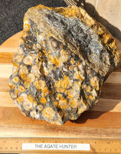 Jumbo Galaxy Galactica Orbicular Rhyolite Rough 10"X9"X3.5" 9.8 Pounds See Video