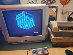 The Immortal (Nintendo NES, 1990) Authentic Cart Only Tested Working