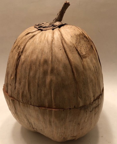 Decorative Natural Malaysian Whole Coconut Storage Container Bowl - Picture 2 of 7