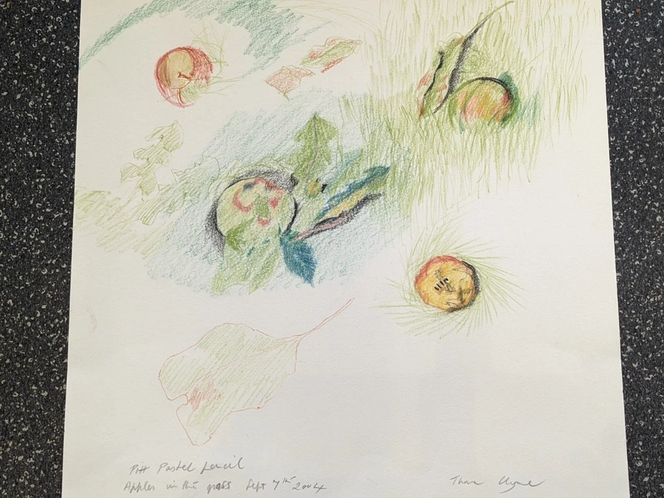 Dibujo original en pastel de Thora Clyne SSWA 1937 - 2020 bodegones manzanas 2004 Foto 3 de 4