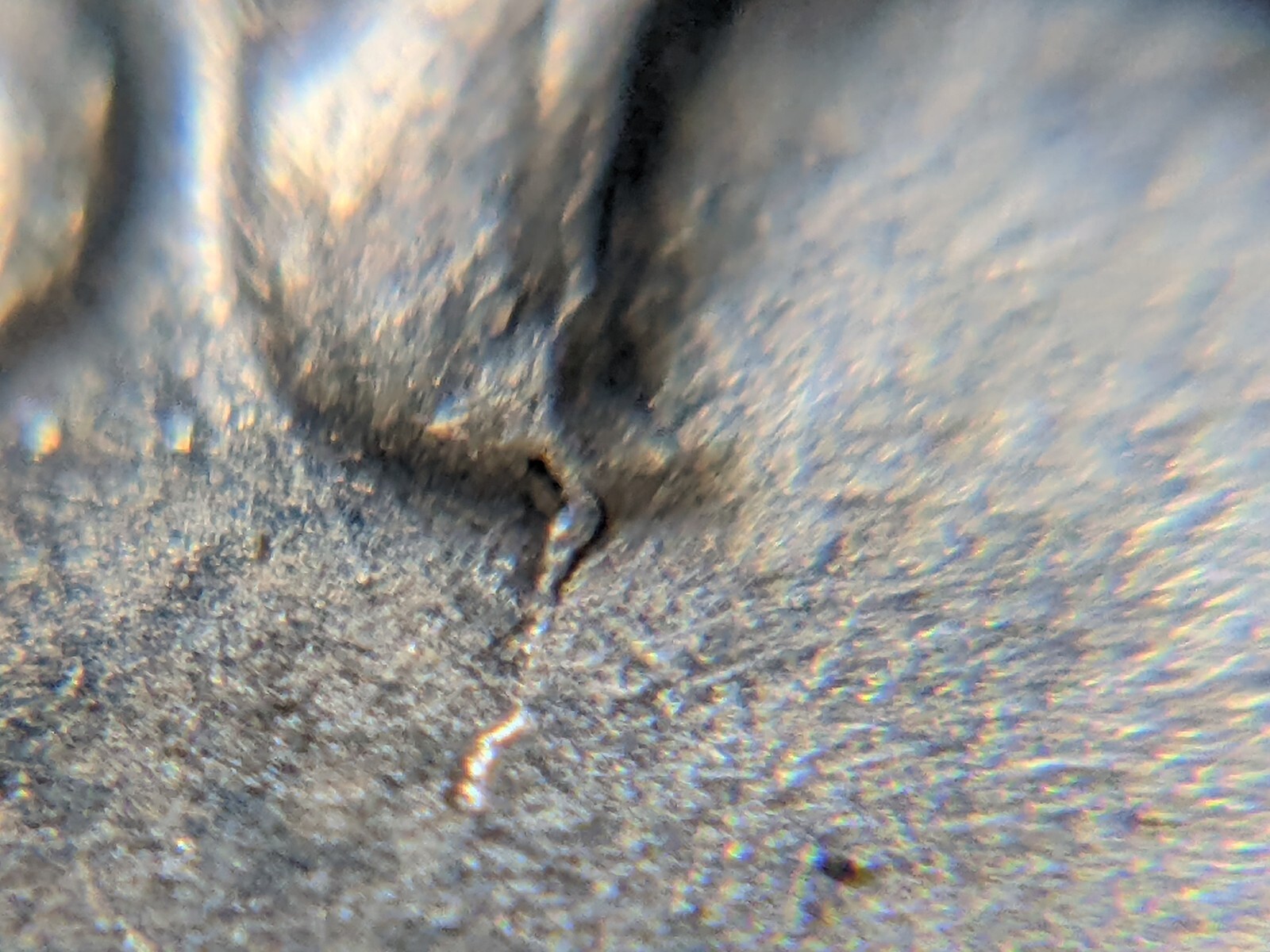 Picture 5 of 12