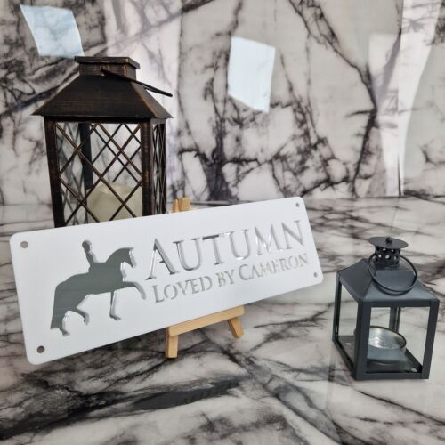 White and SILVER MIRROR Horse stable name sign Laser Cut-Great Personalised Gift - Picture 13 of 28