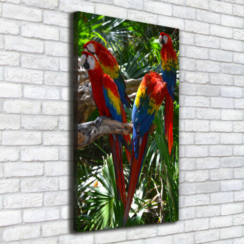 Tulup Print Wall Art 50x100 - Macaw parrots - Afbeelding 1 van 6