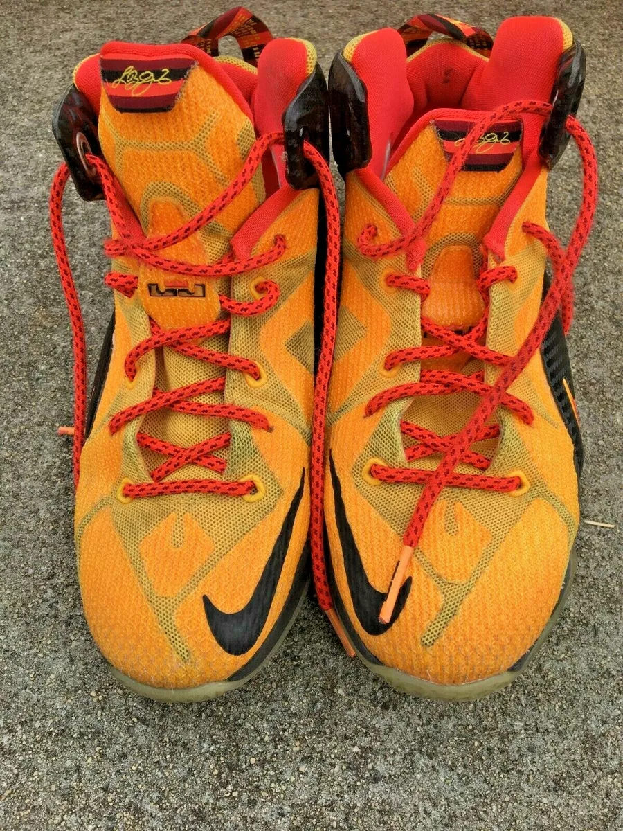 Lebron 12 clearance kids
