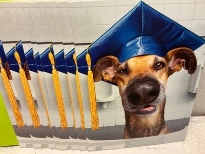 GRADUATION AVANTI GREETING CARDS New w/Envelopes LOT 8 ''AIM HIGH CONGRATULATIONS