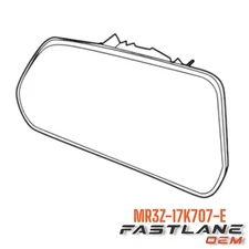 2024-2025 FORD MUSTANG OUTER LEFT MIRROR GLASS NEW OEM MR3Z-17K707-E