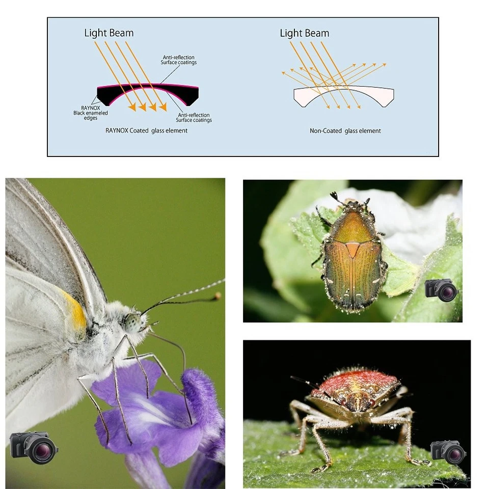 Raynox DCR-250 Macro Lens+ Optic Pen+ Micro Fiber 43mm 52mm 55mm 58mm 62mm 67mm - Image 2 of 4