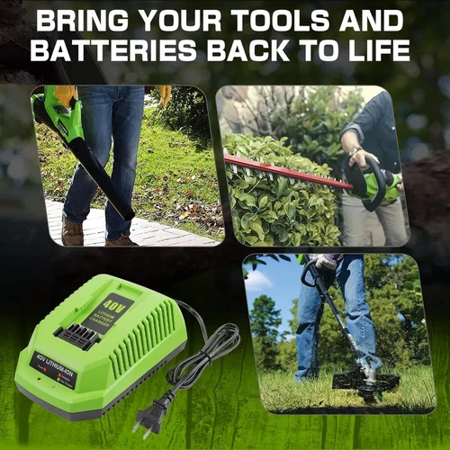 Greenworks Ladegerät 40V 29482 29462 2938302 BAF702 BAF705 Li-ion Akku/Ladegerät - Bild 7 von 8