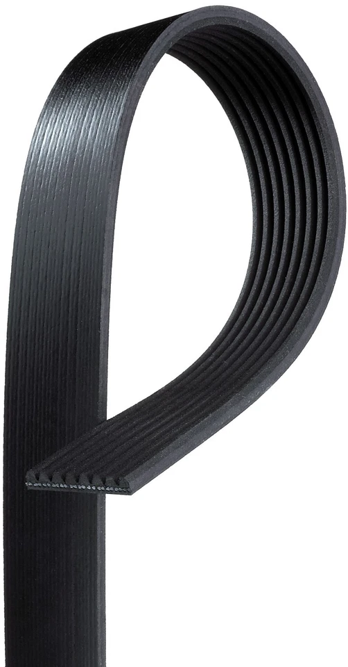 Gates Serpentine Belt For 2005 Sterling Truck Acterra 5500 - Image 3 of 4