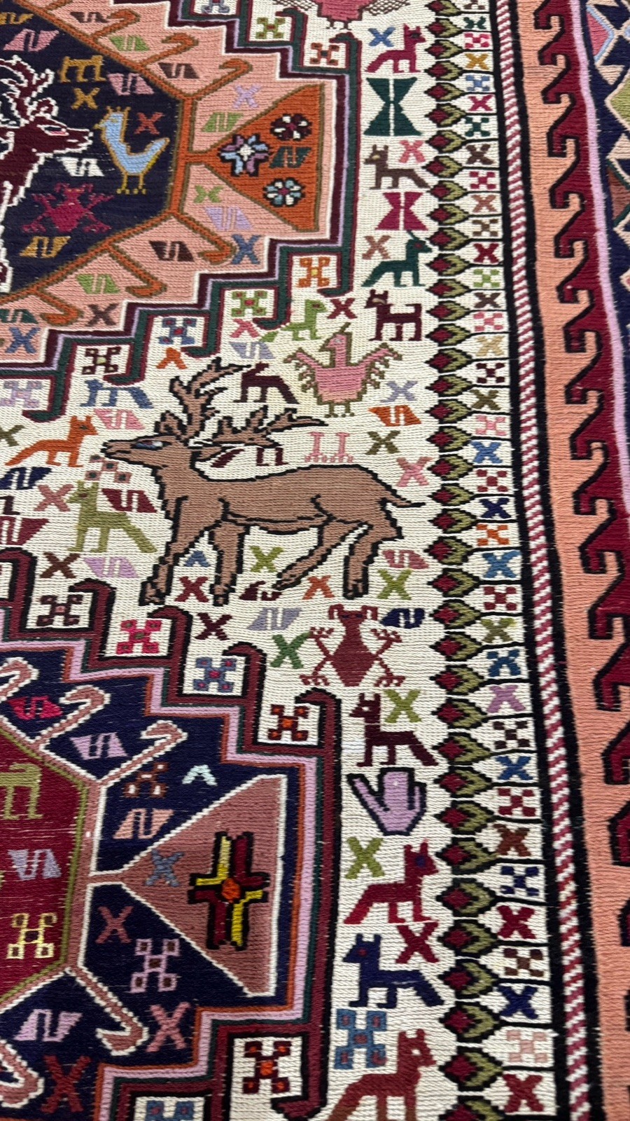 Picture 6 of 11