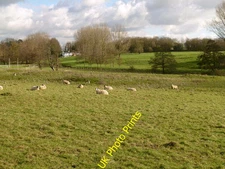 Photo 6x4 Empingham moated site Described in the scheduling description a c2016
