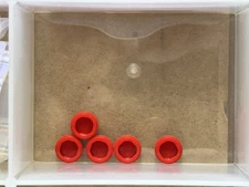 LEGO Parts - Red Tile, Round 1 x 1 - No 98138 - QTY 5