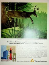 Original Vintage Print Ad: Ft. Ft. Deer Jumping in the Jungle #Weyerhaeuser
