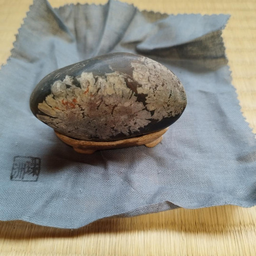 Japanese Stone BONSAI SUISEKI Chrysanthemum Stone With stand Height 5 cm from JP - Picture 9 of 24