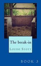 The break-in.: The pony cubes collection (The Pony Cube - Paperback NEW Stott, L