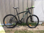 fluid renegade mountain bike