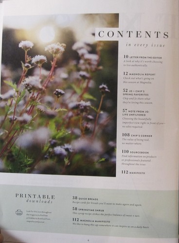 MAGNOLIA JOURNAL ISSUE NO. 10 FALL 2019 - AUTHENTICITY - THE WORLD NEEDS WHO - Picture 4 of 4