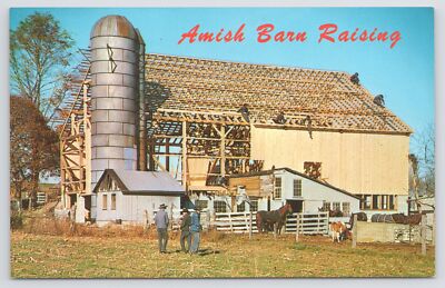 Farm~Amish Barn Raising After Fire~Vintage Postcard