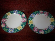 American Atelier Flower Garden 2 dinner 10 5/8"" plates Beautiful