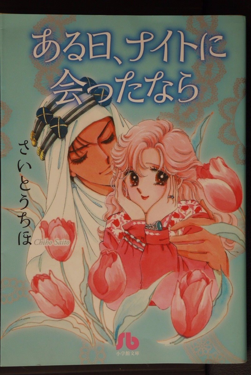 JAPAN Chiho Saito manga: One Day, While Meeting a Knight (Bunko