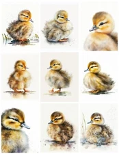 Set of 9 Watercolor Vintage Ducklings Baby Ducks  STICKERS - Just Cut & Use!