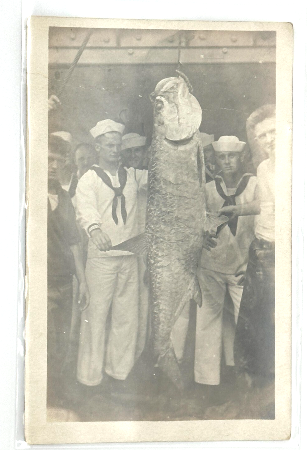 Sailors With Giant Catch – U.S. Navy RPPC 1920s Real Photo Fishing Tarpon Scene