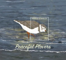 Antigua 2017 - Peaceful Plovers Birds - Souvenir Stamp Sheet - Scott #3374 - MNH